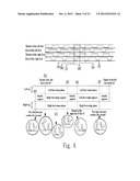 SYSTEM AND METHOD FOR ANALYZING GAIT USING FABRIC SENSORS diagram and image