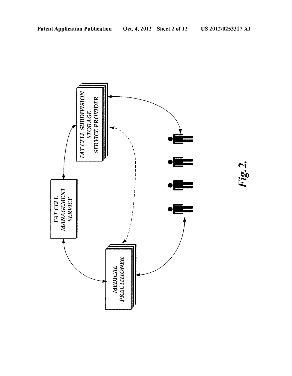 ADIPOSE TISSUE MANAGEMENT SYSTEMS - diagram, schematic, and image 03