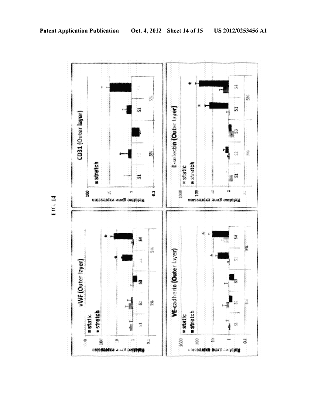 METHOD FOR PREPARATION OF ARTIFICIAL BLOOD VESSEL USING TUBE-TYPE POROUS     BIODEGRADABLE SCAFFOLD HAVING A DOUBLE-LAYERED STRUCTURE AND STEM CELL,     AND ARTIFICIAL BLOOD VESSEL MADE BY THE SAME - diagram, schematic, and image 15