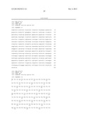 Novel Restriction Endonucleases, DNA Encoding These Endonucleases and     Methods for Identifying New Endonucleases with the Same or Varied     Specificity diagram and image