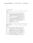 Novel Restriction Endonucleases, DNA Encoding These Endonucleases and     Methods for Identifying New Endonucleases with the Same or Varied     Specificity diagram and image