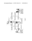 TRANSGENIC NON-HUMAN ANIMAL AND USES THEREOF diagram and image