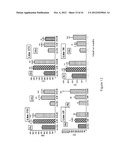 TRANSGENIC NON-HUMAN ANIMAL AND USES THEREOF diagram and image