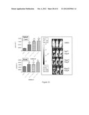 TRANSGENIC NON-HUMAN ANIMAL AND USES THEREOF diagram and image