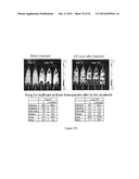 TRANSGENIC NON-HUMAN ANIMAL AND USES THEREOF diagram and image