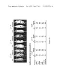 TRANSGENIC NON-HUMAN ANIMAL AND USES THEREOF diagram and image