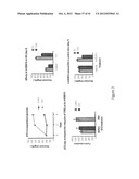 TRANSGENIC NON-HUMAN ANIMAL AND USES THEREOF diagram and image