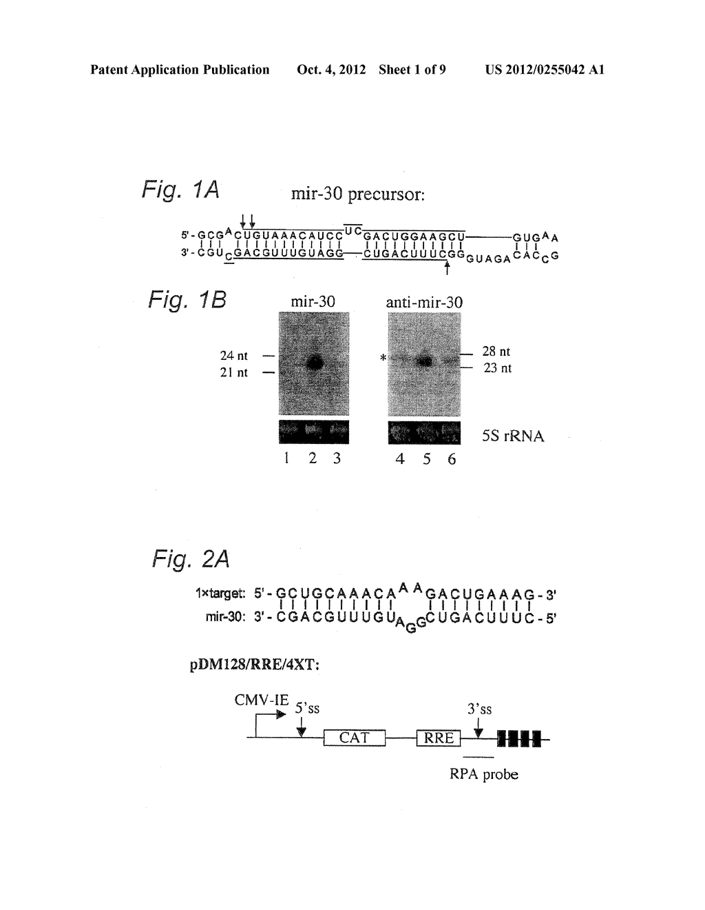 METHOD OF REGULATING GENE EXPRESSION - diagram, schematic, and image 02