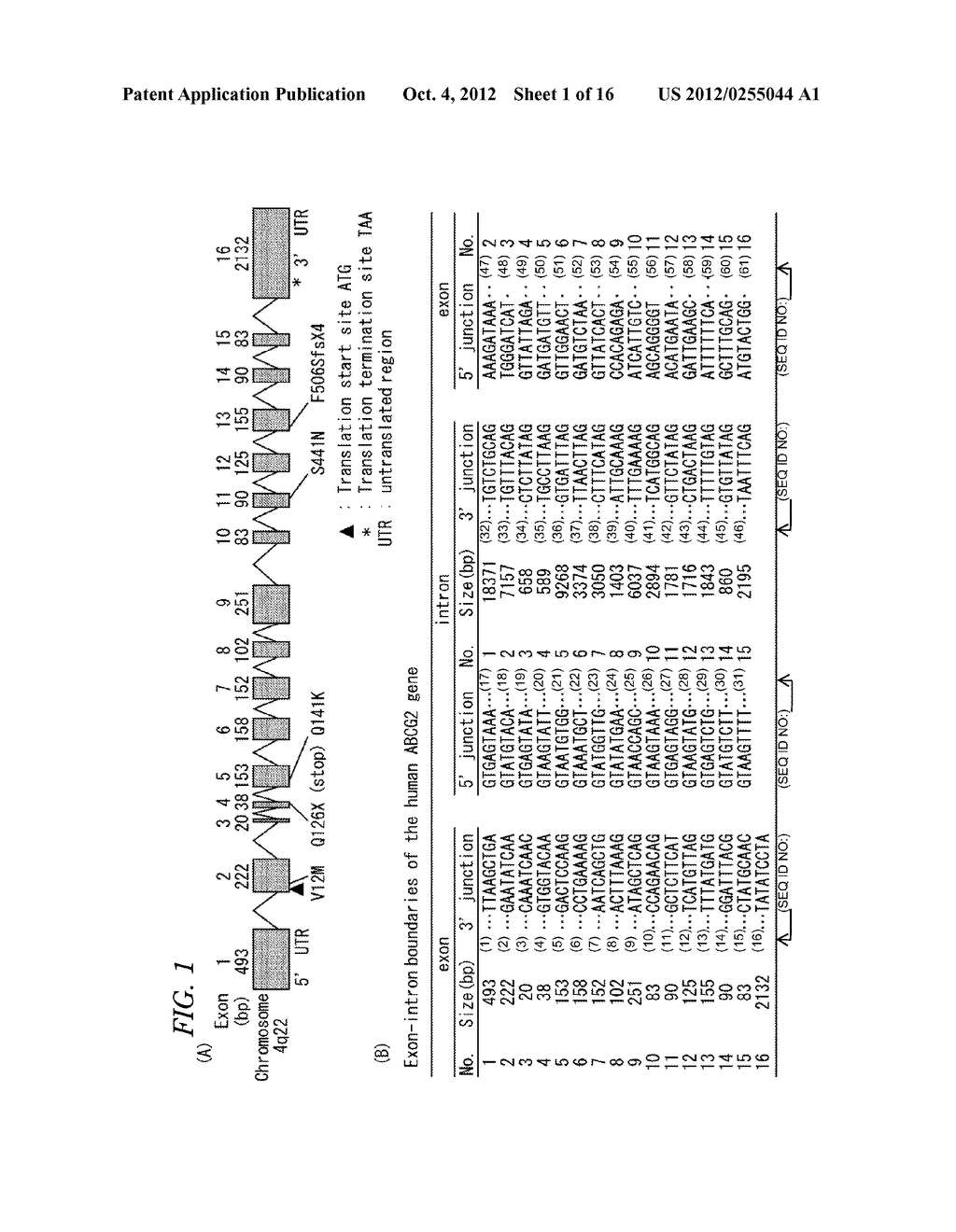 URATE TRANSPORTER, AS WELL AS METHOD AND KIT FOR EVALUATING URATE     TRANSPORT-RELATED DISEASE FACTOR AND INFLAMMATION-RELATED DISEASE FACTOR,     AND TEST SAMPLE AND DRUG - diagram, schematic, and image 02