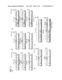 URATE TRANSPORTER, AS WELL AS METHOD AND KIT FOR EVALUATING URATE     TRANSPORT-RELATED DISEASE FACTOR AND INFLAMMATION-RELATED DISEASE FACTOR,     AND TEST SAMPLE AND DRUG diagram and image