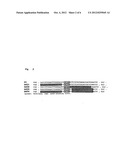 INDUCIBLE SMALL RNA EXPRESSION CONSTRUCTS FOR TARGETED GENE SILENCING diagram and image