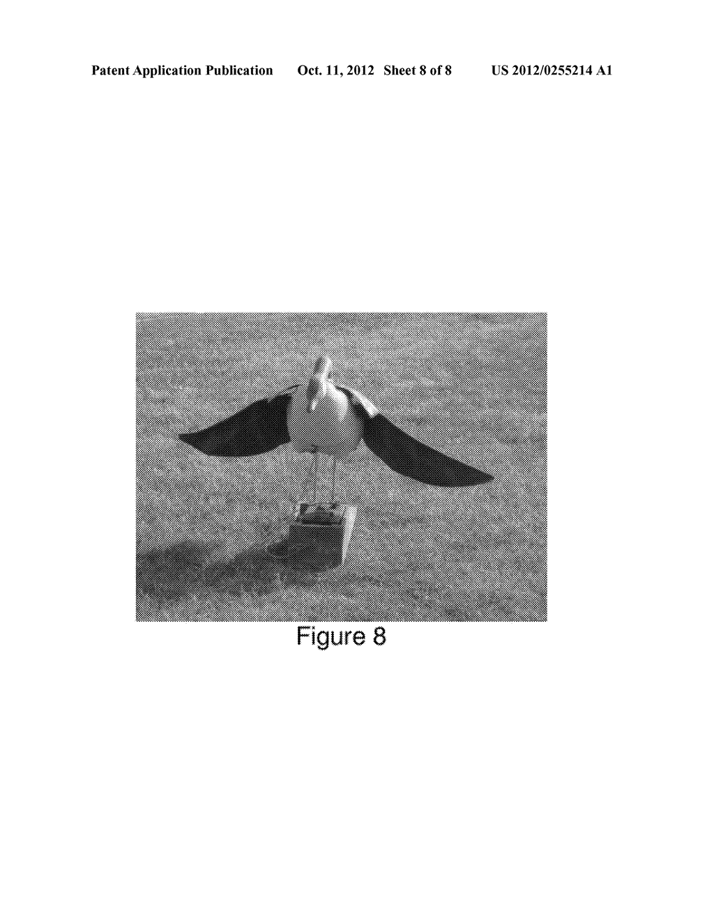 REMOTELY CONTROLLED ANIMAL MOTION DECOY SYSTEM - diagram, schematic, and image 09