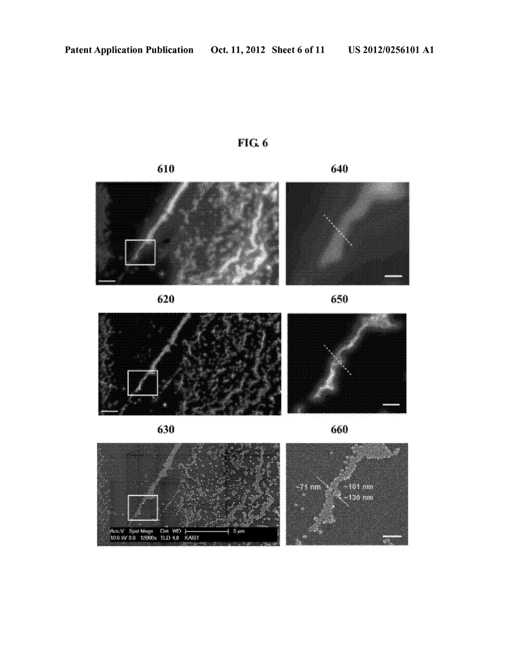 SUPER-RESOLUTION MICROSCOPY SYSTEM USING SPECKLE ILLUMINATION AND ARRAY     SIGNAL PROCESSING - diagram, schematic, and image 07