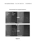 Dye-conjugated dendrimers diagram and image