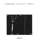 Dye-conjugated dendrimers diagram and image