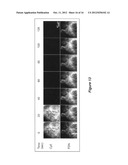 Dye-conjugated dendrimers diagram and image