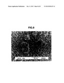 PREPARATION OF COMPLEX FLUORIDE AND COMPLEX FLUORIDE PHOSPHOR diagram and image