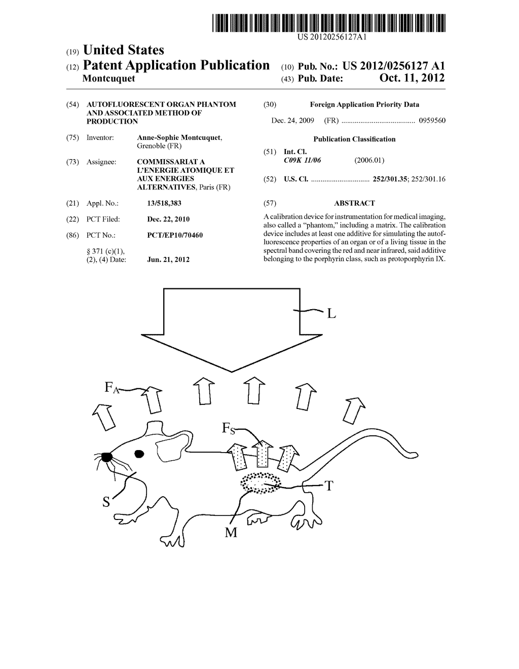 AUTOFLUORESCENT ORGAN PHANTOM AND ASSOCIATED METHOD OF PRODUCTION - diagram, schematic, and image 01