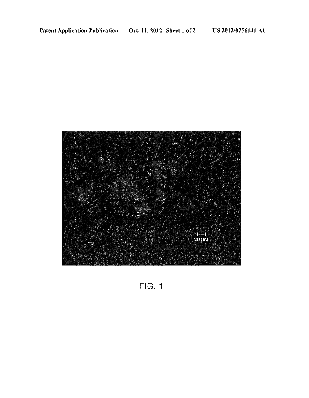 PARTICLES INCLUDING NANOPARTICLES, USES THEREOF, AND METHODS - diagram, schematic, and image 02