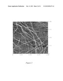 NANOTUBE ENABLED, GATE-VOLTAGE CONTROLLED LIGHT EMITTING DIODES diagram and image