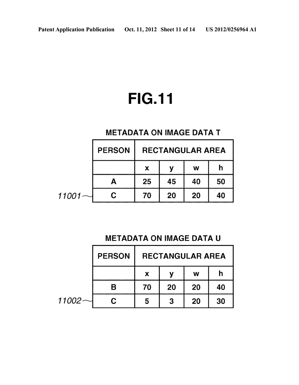 INFORMATION PROCESSING DEVICE, INFORMATION PROCESSING METHOD, AND PROGRAM     STORAGE MEDIUM - diagram, schematic, and image 12