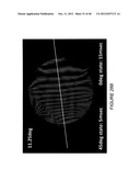 IMAGE STABILIZATION AND SHIFTING IN A LIQUID CRYSTAL LENS diagram and image