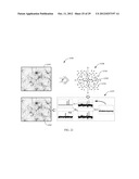 FOURIER DOMAIN SENSING diagram and image