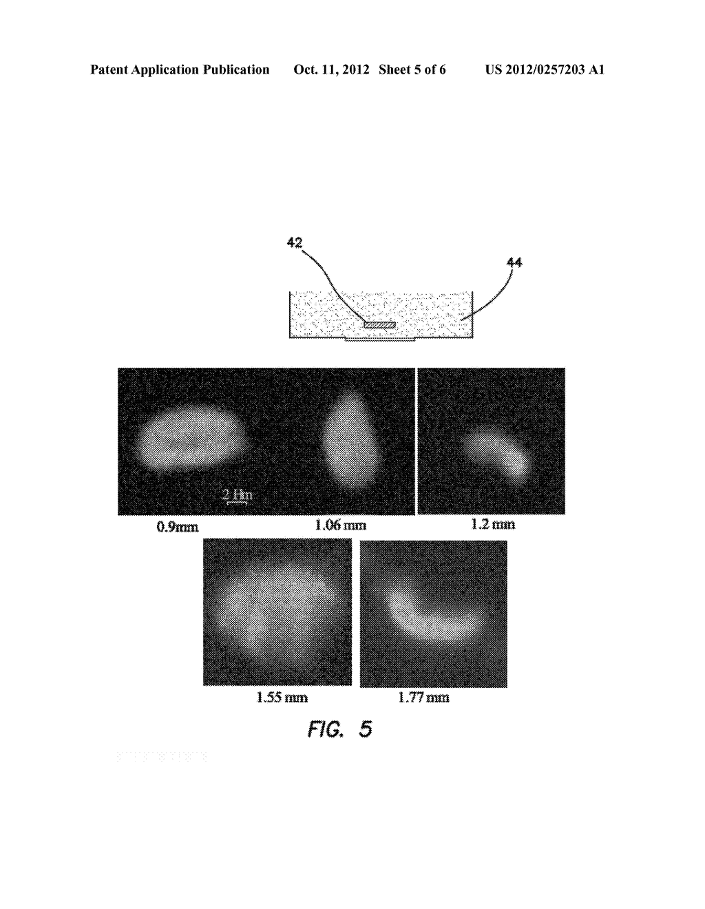 APPARATUS AND METHOD FOR LIGHT EMISSION DETECTION FOR IN-DEPTH IMAGING OF     TURBID MEDIA - diagram, schematic, and image 06