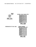 INK JET PRINTING APPARATUS, IMAGE PROCESSING APPARATUS, AND METHOD FOR     PROCESSING IMAGE diagram and image