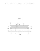 ORGANIC LIGHT EMITTING DIODE LIGHTING APPARATUS diagram and image