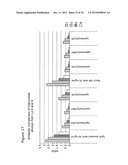 Agents, Uses and Methods diagram and image