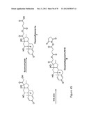 Agents, Uses and Methods diagram and image