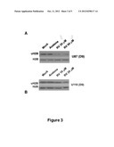 Methods and compositions for modulation of histone ubiquitination diagram and image