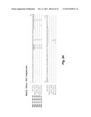 GENERATION OF ANTI-FN14 MONOCLONAL ANTIBODIES BY EX-VIVO ACCELERATED     ANTIBODY EVOLUTION diagram and image