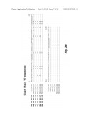 GENERATION OF ANTI-FN14 MONOCLONAL ANTIBODIES BY EX-VIVO ACCELERATED     ANTIBODY EVOLUTION diagram and image