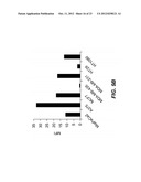 GENERATION OF ANTI-FN14 MONOCLONAL ANTIBODIES BY EX-VIVO ACCELERATED     ANTIBODY EVOLUTION diagram and image