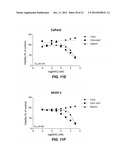 GENERATION OF ANTI-FN14 MONOCLONAL ANTIBODIES BY EX-VIVO ACCELERATED     ANTIBODY EVOLUTION diagram and image