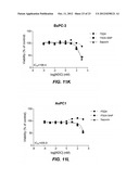 GENERATION OF ANTI-FN14 MONOCLONAL ANTIBODIES BY EX-VIVO ACCELERATED     ANTIBODY EVOLUTION diagram and image