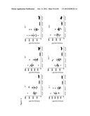 Molecular Vaccines for Infectious Disease diagram and image