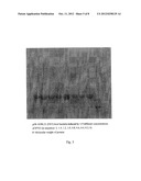 MYCOBACTERIUM TUBERCULOSIS FUSION PROTEIN AND USES THEREOF diagram and image