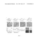 CHEMICALLY MODIFIED CELLULOSE FIBROUS MESHES FOR USE AS TISSUE ENGINEERING     SCAFFOLDS diagram and image