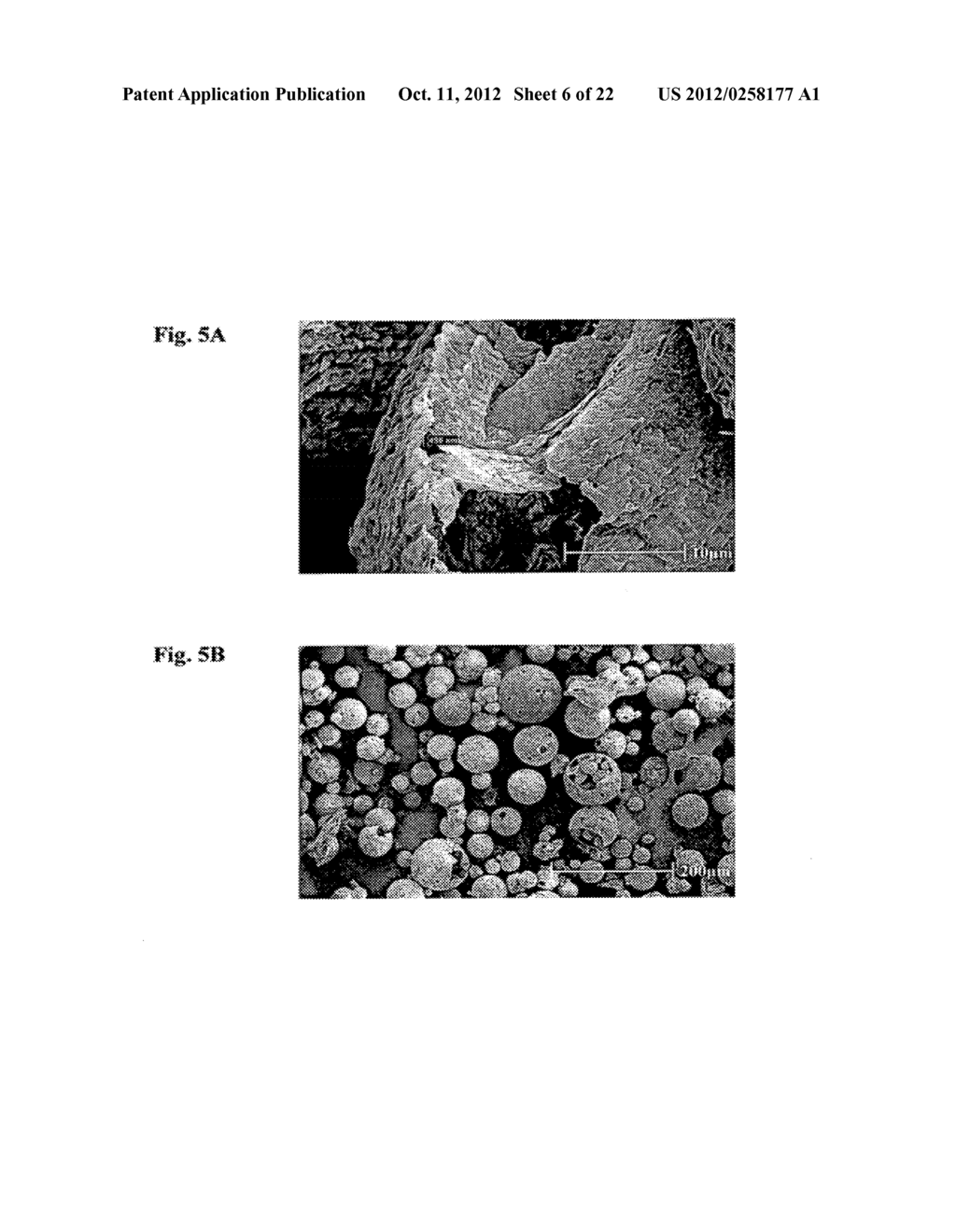 MICROCAPSULES COMPRISING BENZOYL PEROXIDE AND TOPICAL COMPOSITIONS     COMPRISING THEM - diagram, schematic, and image 07