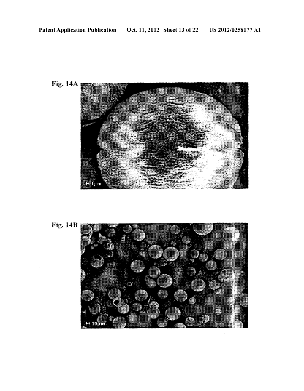 MICROCAPSULES COMPRISING BENZOYL PEROXIDE AND TOPICAL COMPOSITIONS     COMPRISING THEM - diagram, schematic, and image 14