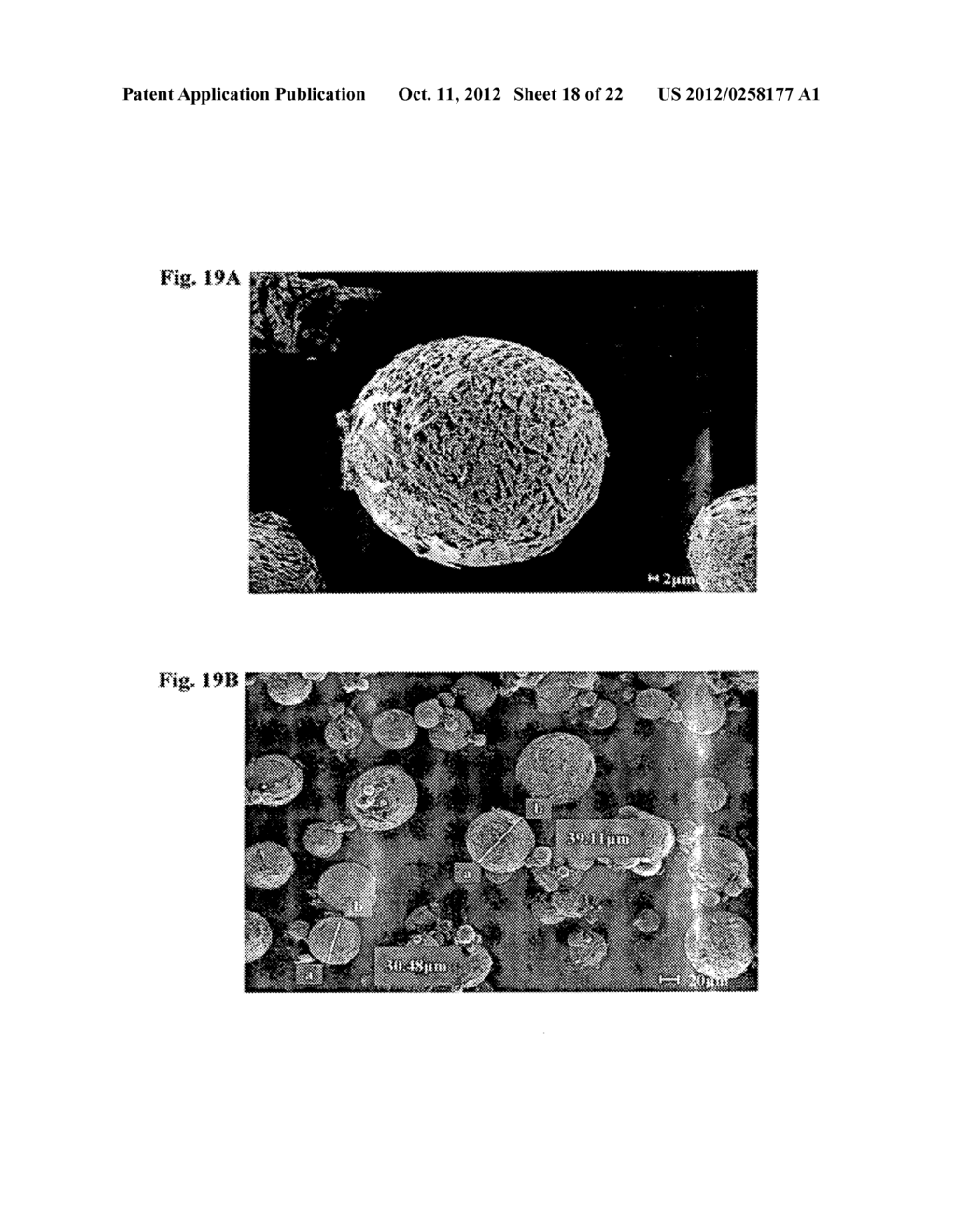 MICROCAPSULES COMPRISING BENZOYL PEROXIDE AND TOPICAL COMPOSITIONS     COMPRISING THEM - diagram, schematic, and image 19