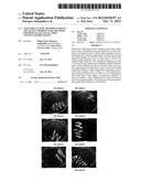 VINEYARD CULTURE METHOD ENABLING THE YEASTS THEREOF TO BE OBTAINED FOR     HIGH SUGAR AND ALCOHOL CONTENT FERMENTATION diagram and image