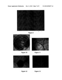 VINEYARD CULTURE METHOD ENABLING THE YEASTS THEREOF TO BE OBTAINED FOR     HIGH SUGAR AND ALCOHOL CONTENT FERMENTATION diagram and image