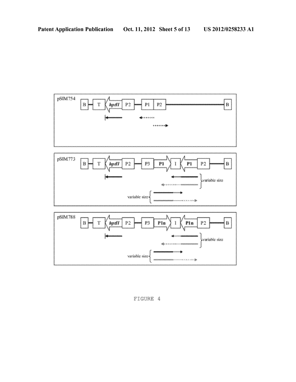 GENE SILENCING - diagram, schematic, and image 06