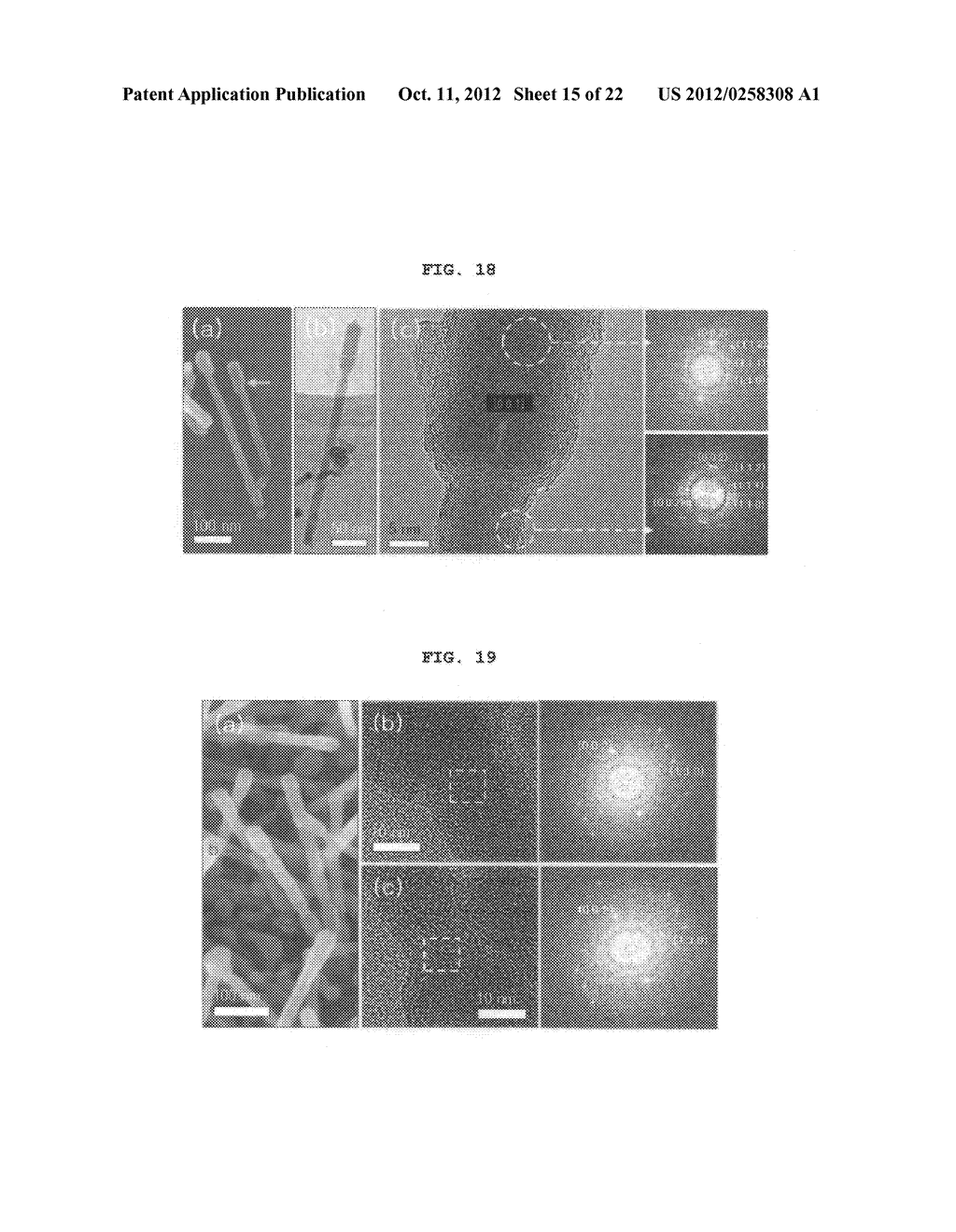 Single-crystal apatite nanowires sheathed in graphitic shells and     synthesis method thereof - diagram, schematic, and image 16