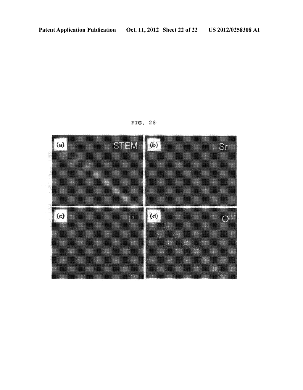 Single-crystal apatite nanowires sheathed in graphitic shells and     synthesis method thereof - diagram, schematic, and image 23