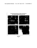 METHODS FOR THE DETECTION OF JC POLYOMA VIRUS diagram and image